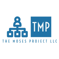 IT Project Management Support and Expertise