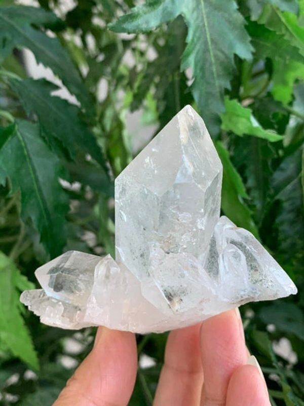 Grab these high-quality Brazilian Clear Quartz clusters for just $9.99! 🔥