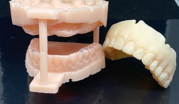 Model: Denture