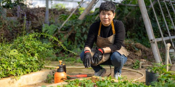 Gardener with sprayer in greenhouse.