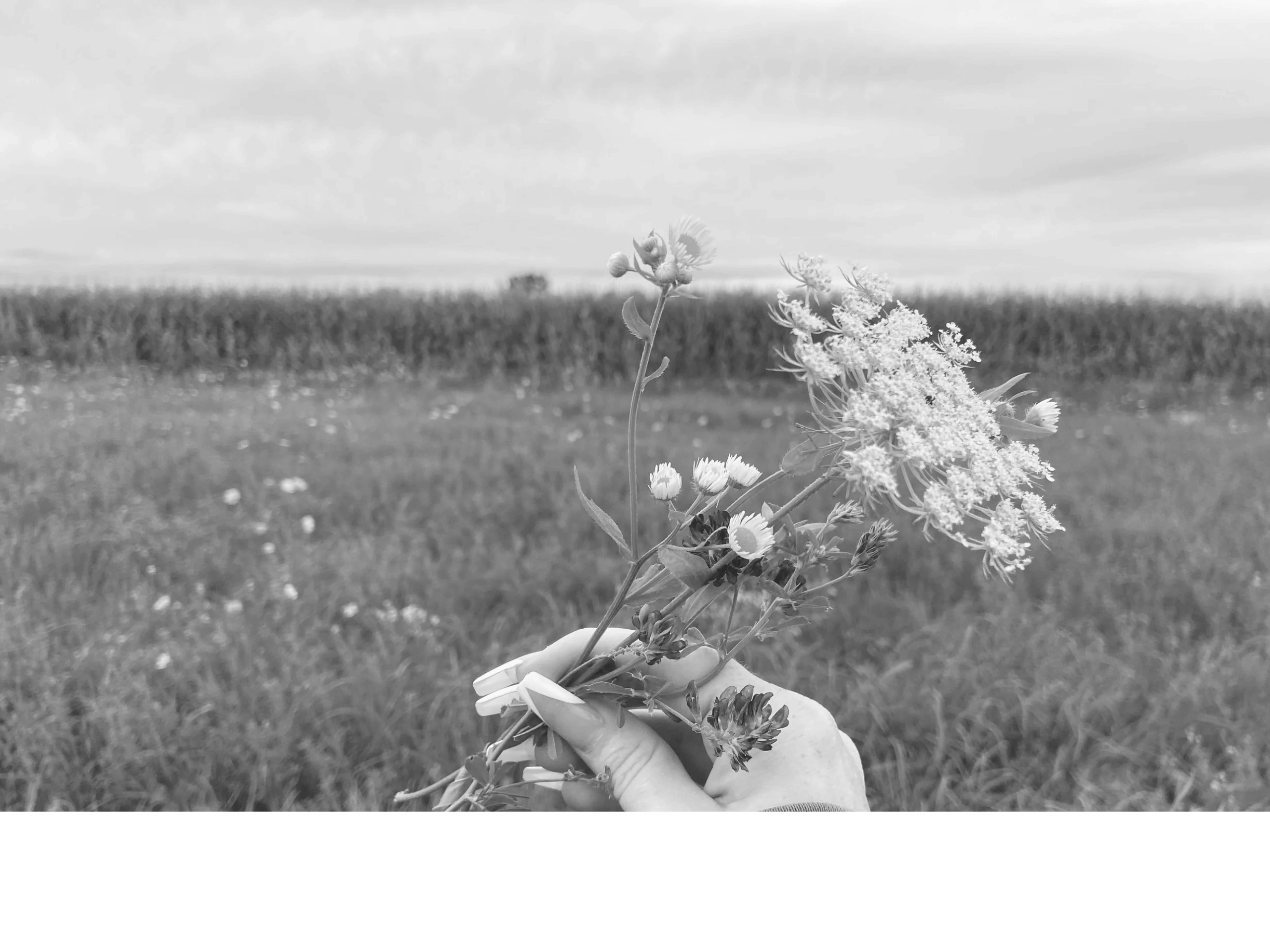 Full Mind to Mindful logo