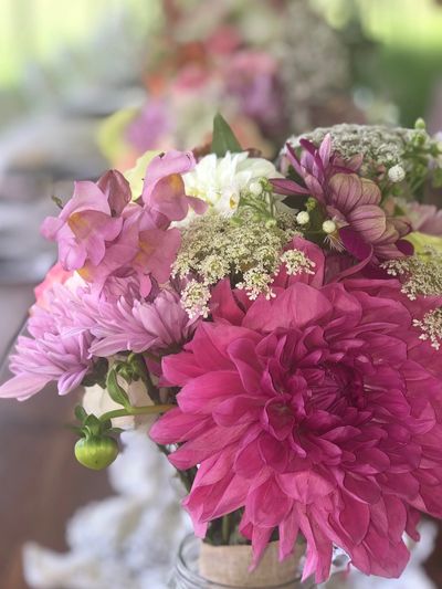 Flowers with queen anne's lace.  
Photo credit: Alicia Kolenda 