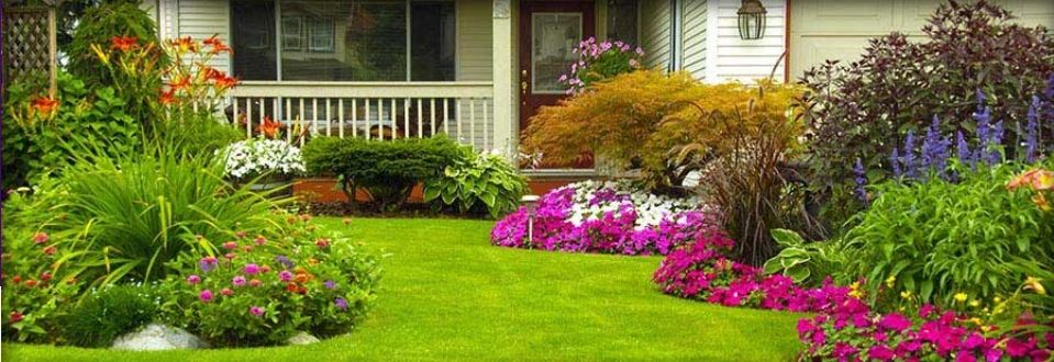 Toms Landscaping & Maintenance logo