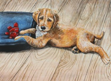 Pet portrait of golden retriever puppy