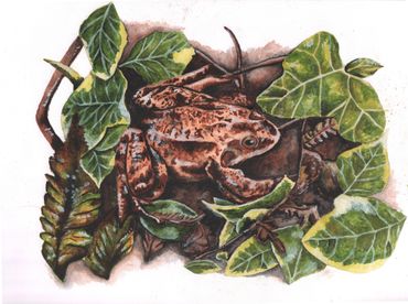 oil painting of a frog