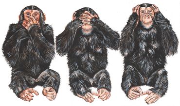 monkey illustration, speak no evil, see no evil, hear no evil