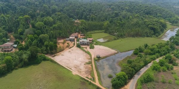 Aerial view of a rural landscape with houses, fields, and dense forest.
