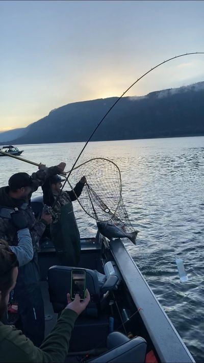 oregon salmon fishing guide
portland oregon salmon fishing
columbia river fishing
sturgeon fishing g