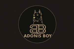 Adonis Boy, Inc