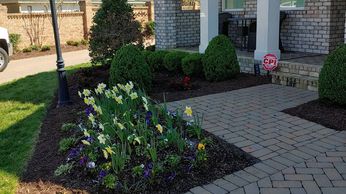 Landscaping landscape beds flowers shrubs Waxhaw, Mint Hill, Indian Trail Landscaping front beds