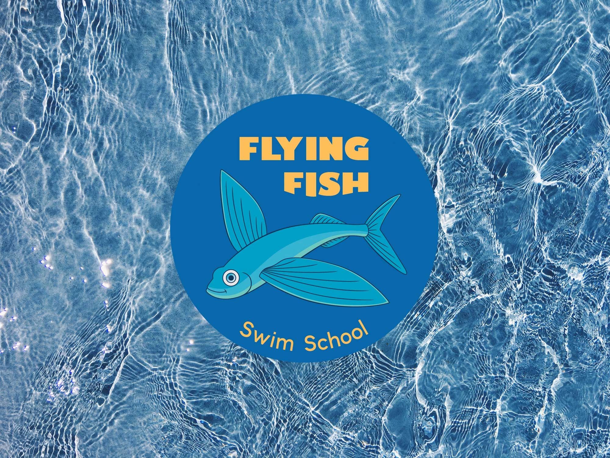 flying-fish-swim-school-home-cover