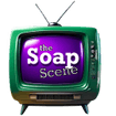 thesoapscene.com