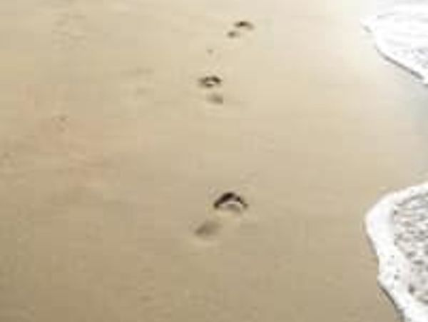 Footprints on a sandy beach near the water's edge.