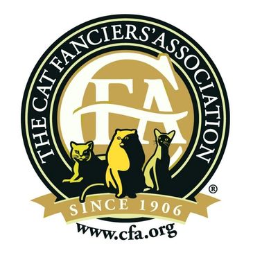 Cat fanciers association CFA