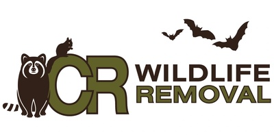 CR Wildlife Removal