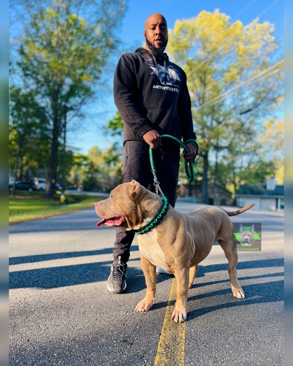 Myself and my Xl American Bully Artisticpits Kanan. Two big dogs!