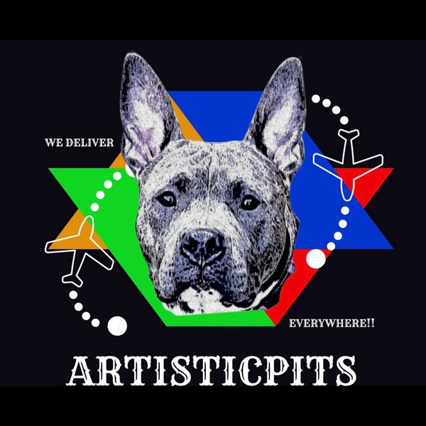 The Artisticpits logo