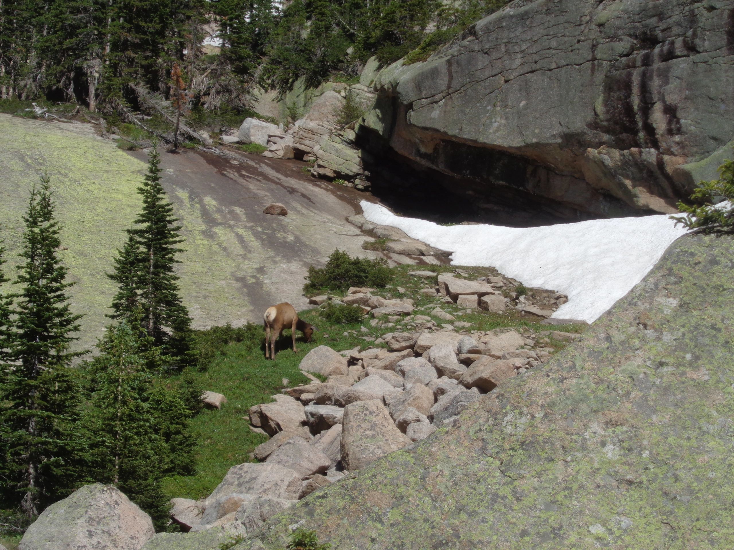 Michael J Safran, Michael Safran, photography, original painting, Rocky Mountains, Colorado