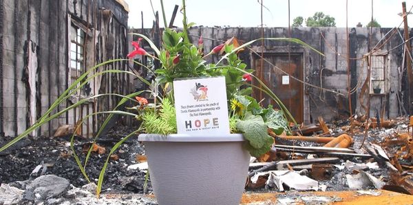 Hope Beyond The Rubble