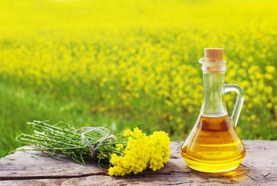 Rapeseed from Ukraine