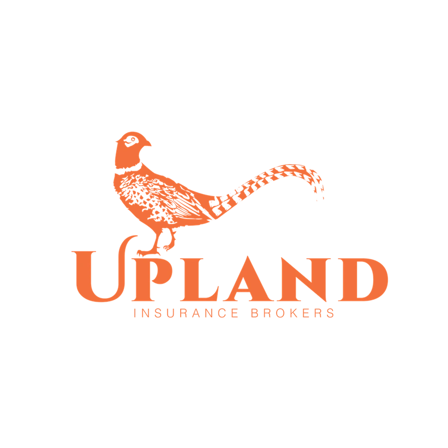I Sell All Kinds of Insurance. Upland Insurance Brokers