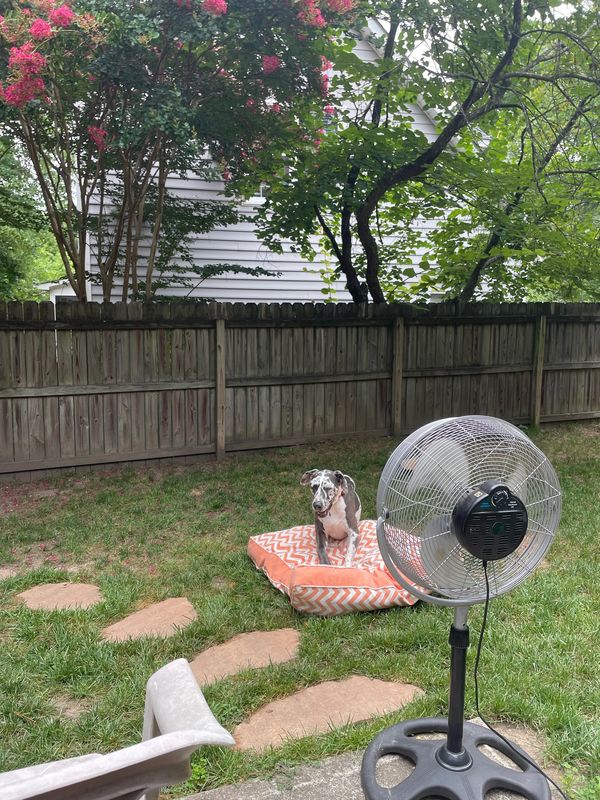 Fan feels great on hot days
