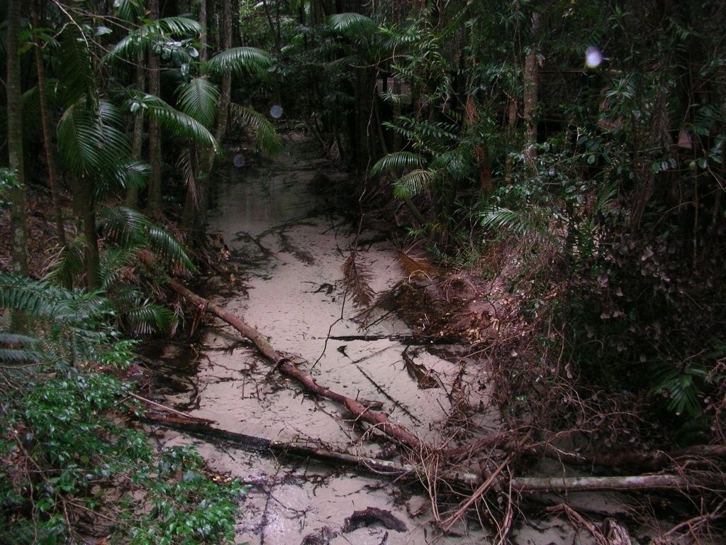 Clear_water_in_the_stream_001