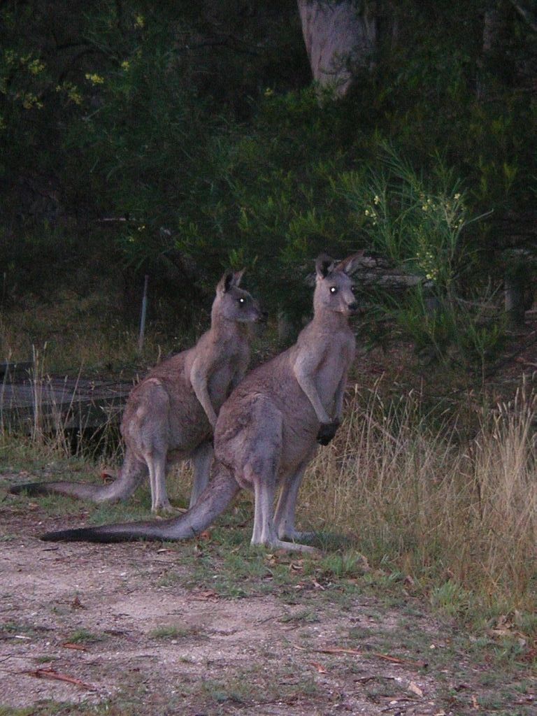 Melbourne_Adelaide30