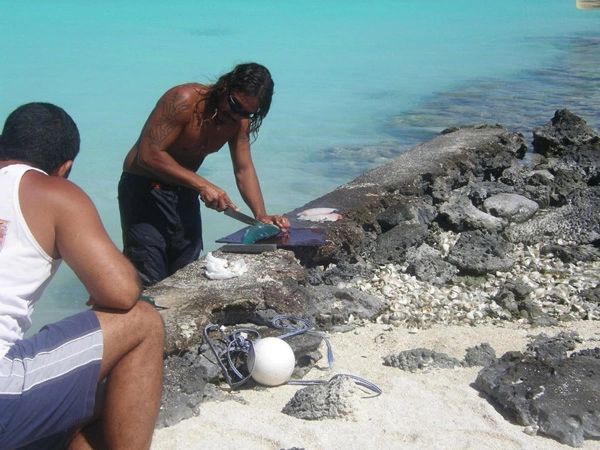 Wet_Wild_lunch_preparation_001