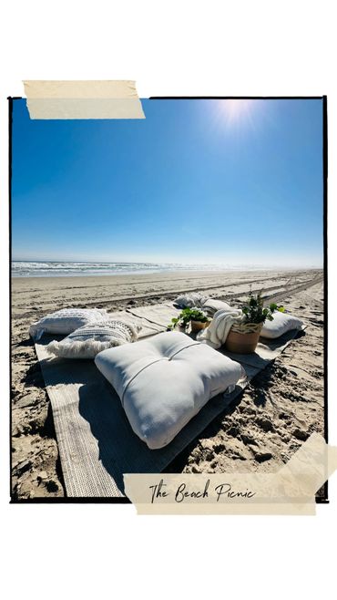 Cozy cushions and plants set up for a peaceful beach picnic under clear blue skies.