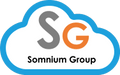Somnium Group LLC
