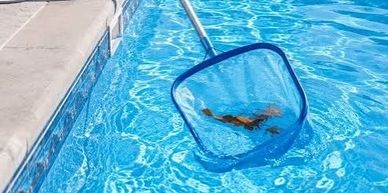 Pool net scooping leaves from a swimming pool