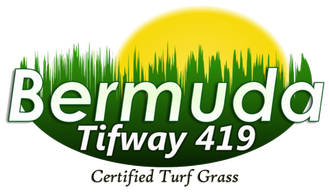 Certified Bermuda Tifway 419 Sod