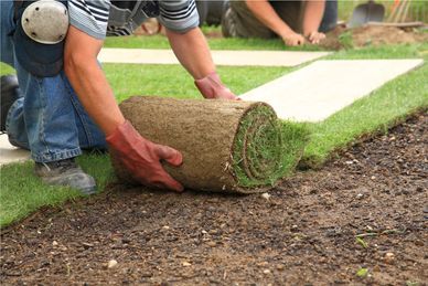 Artificial Turf & Sod Installation 