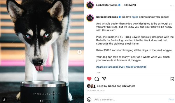 Dog lapping water. This was done to share about a reward for donating.