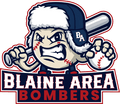Blaine area tournament teams