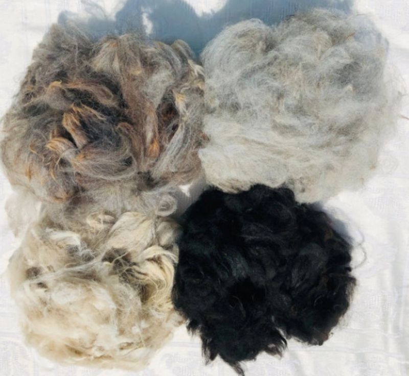 Fiber lumps-8473f34.jpg