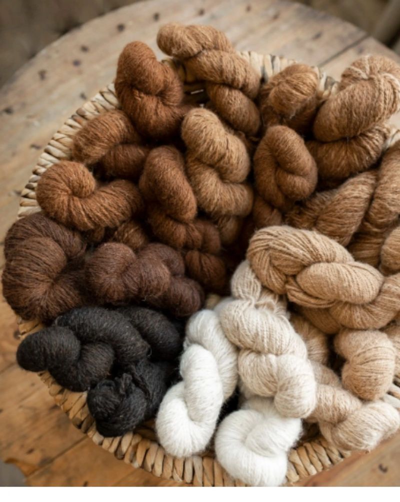 Yarn.jpg