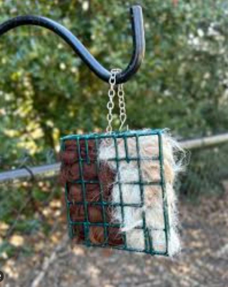 suet box with fluff.jpg