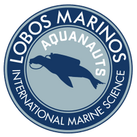 Lobos Marinos