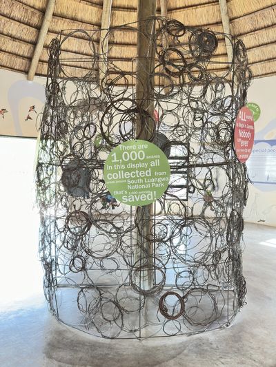 Exhibit at Game Rangers Lusaka Visitors' Center made of animal snares
