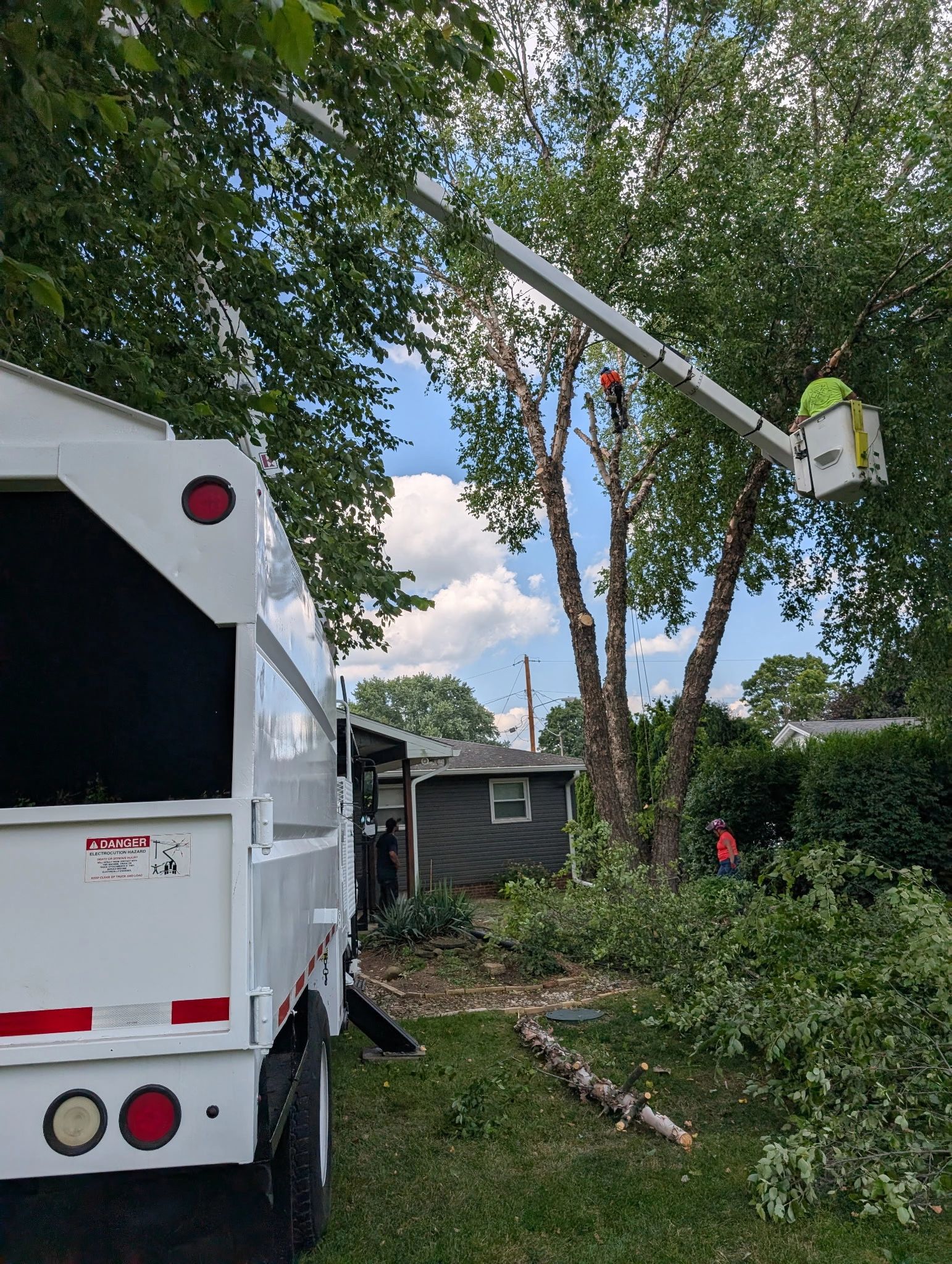Tree removal in Minerva Ohio 
