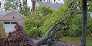 24 hour emergency Storm Damage Tree removal 