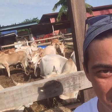 A man takes a selfie with cows in the background on a farm.
