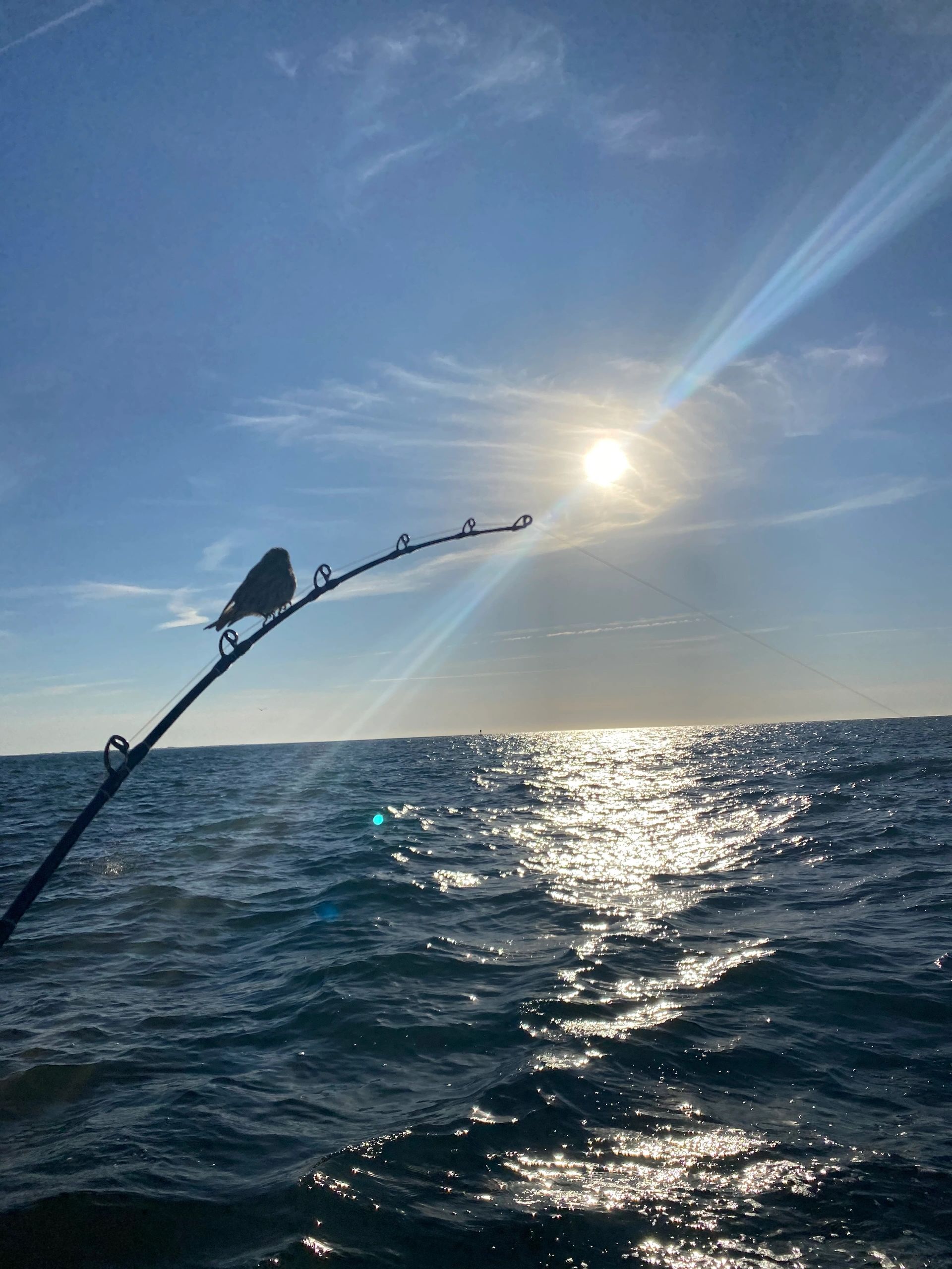 Blue Line Fishing Charters