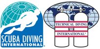 This is the logo of SDI/TDI