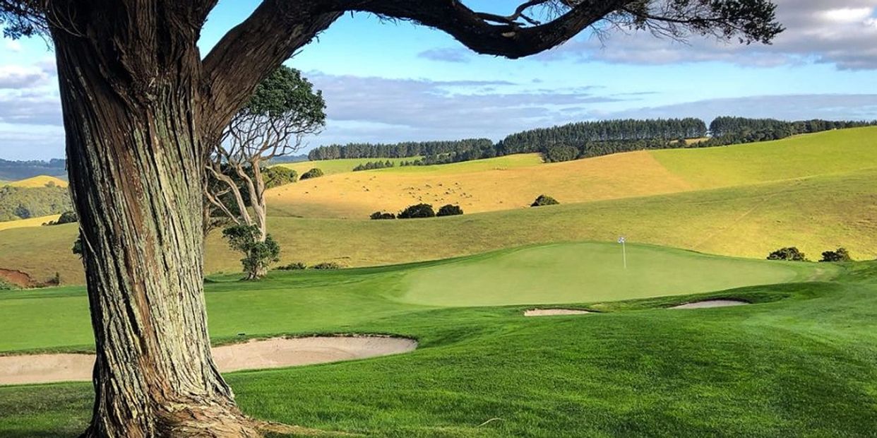 Kauri Cliffs NZ - photo by Rick Schweikert