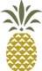 Pineapple Group, LLC