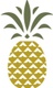 Pineapple Group, LLC