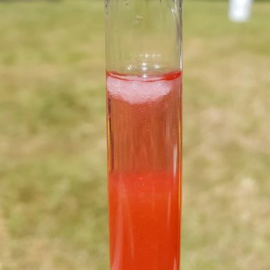 Strawberry DNA Extraction